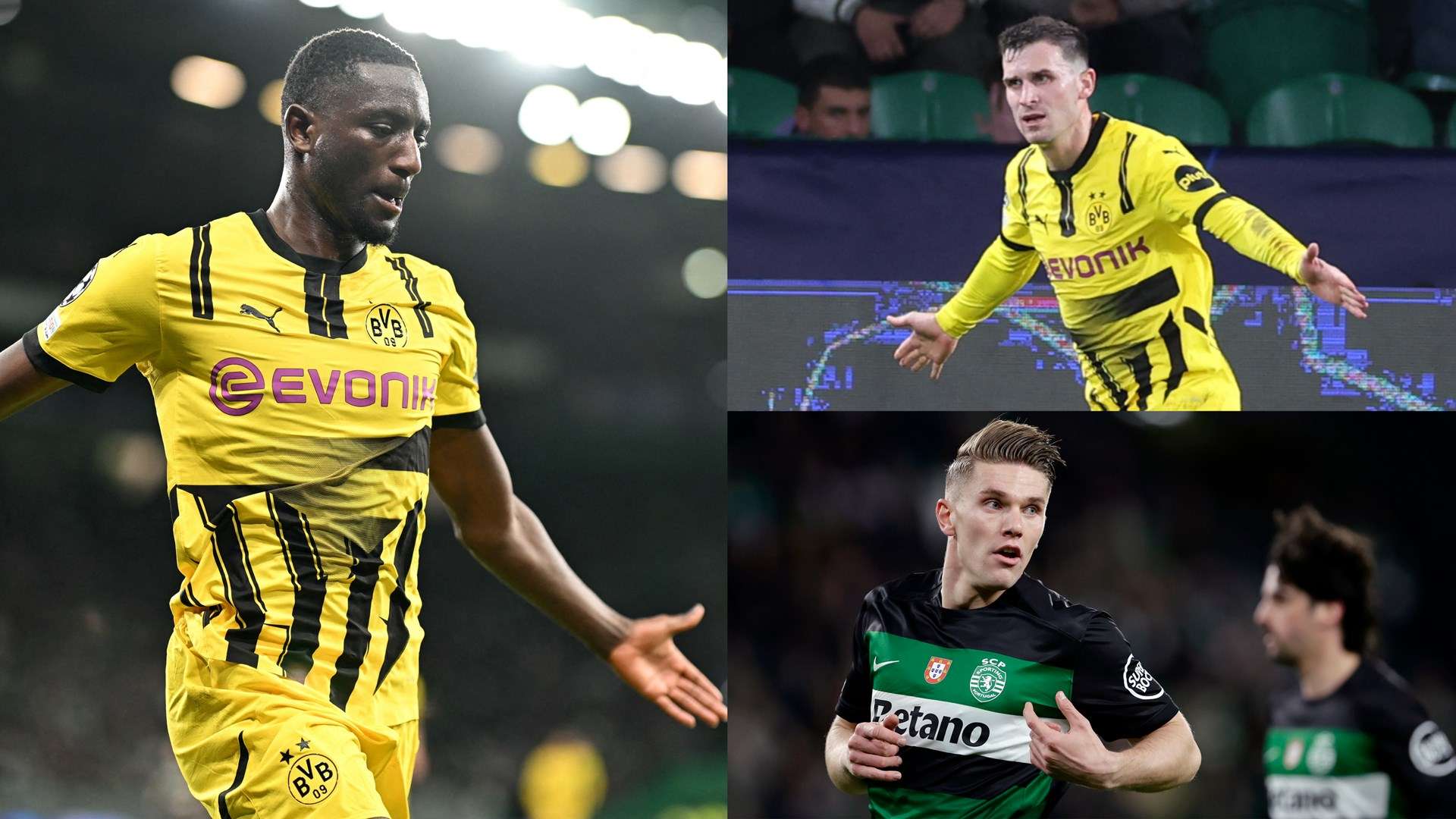 努力为球队 努力为球队