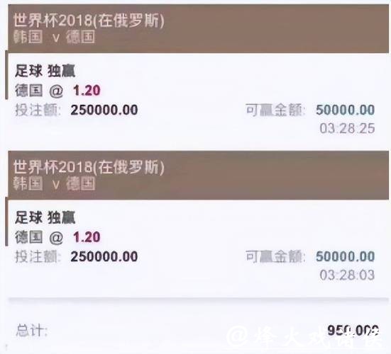 深入解析热门世界杯投注平台选择